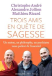 Trois amis en quête de sagesse